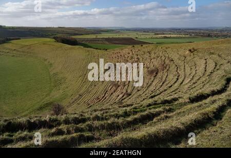 Blick auf den südlichen Rand des Pewsey Vale mit Copse Wooodand im Tal in der Nähe von Pewsey, Wiltshire, North Wessex Downs AONB Stockfoto