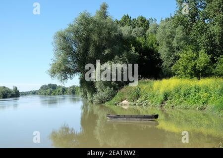 Der Fluss Sava ist einer der wenigen unveränderten Flachlandflüsse in Europa, Lonjsko polje in Kroatien Stockfoto