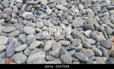 Steinkiesel, kleine, abgerundete, glatte Felsen. Texturhintergrund für Text Stockfoto