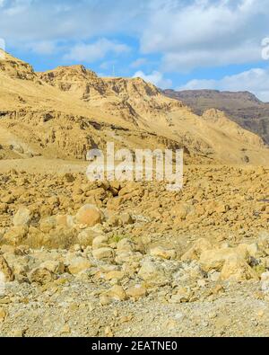 Masada Nationalpark, Judäa, Israel Stockfoto