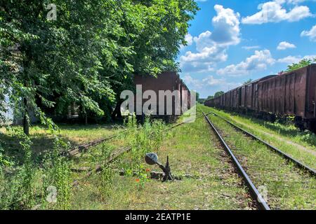 Alte ausgeraubte Schienenfahrzeuge stehen auf Schienen im Gras. All diese Fahrzeuge, Waggons warten darauf, in Stücke für den Zweck der Schmelze ir geschnitten werden Stockfoto