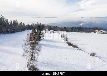 Verschneite Winterlandschaft im bayerischen Wald, deutschland Stockfoto