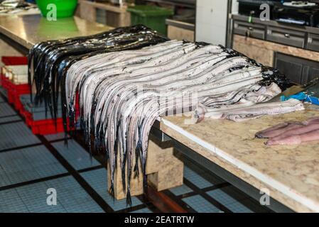 Atlantic largehead Haarschwänze Stockfoto