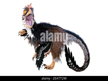 3D Rendering Dinosaur Deinonychus auf Weiß Stockfoto