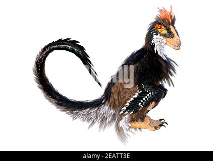 3D Rendering Dinosaur Deinonychus auf Weiß Stockfoto