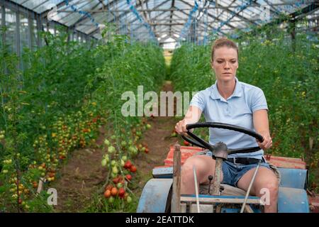 Müde während der Arbeit in einem Gewächshaus auf einem Traktor Stockfoto