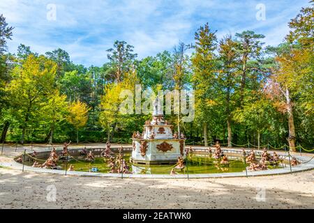 Fuente de las ranas Brunnen im Garten von la Granja De San Ildefonso in Spanien Stockfoto