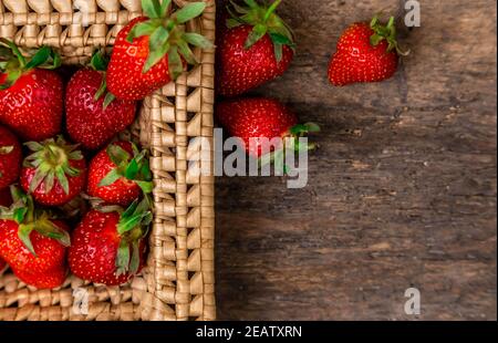 Frische saftige Erdbeeren im Korb. Weidenkorb voller frisch gepflückte Erdbeeren auf vintage Holz- Hintergrund. Zeit zum essen Erdbeeren. Stockfoto