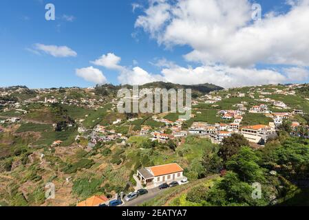 Blick über die Weinberge der Madeira Wine Company, Estreito de Camara de Lobos, Madeira, Portugal Stockfoto