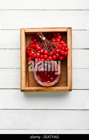 Viburnum-Beerenmarmelade Stockfoto