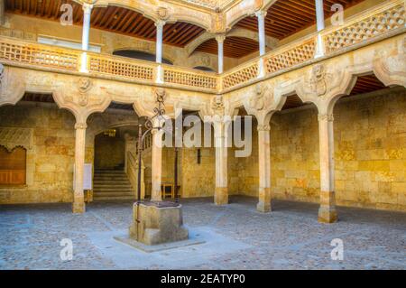 Innenhof der öffentlichen Bibliothek im Haus der Muscheln in Salamanca, Spanien Stockfoto
