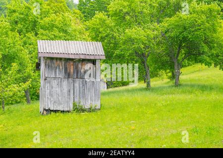 Sehen Sie sich das alte große Holzhaus an, in dem es verlassen wurde Das Gras und die Bäume Stockfoto