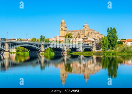 Dom am Salamanca reflektiert gesehen hinter der Brücke von Enrique esteven am Fluss Tormes, Spanien Stockfoto