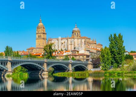 Dom am Salamanca reflektiert gesehen hinter der Brücke von Enrique esteven am Fluss Tormes, Spanien Stockfoto