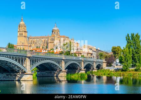 Dom am Salamanca reflektiert gesehen hinter der Brücke von Enrique esteven am Fluss Tormes, Spanien Stockfoto