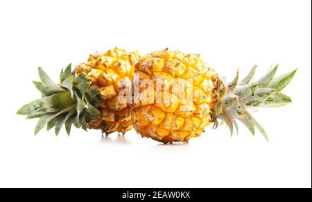 Reife Baby Ananas. Mini Ananas isoliert auf weißem Hintergrund. Stockfoto