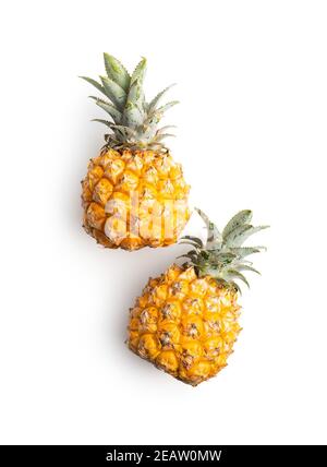 Reife Baby Ananas. Mini Ananas isoliert auf weißem Hintergrund. Stockfoto