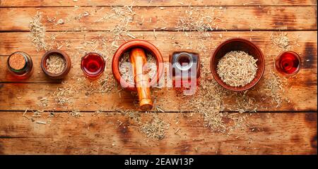 Eleutherococcus in der Kräutermedizin Stockfoto