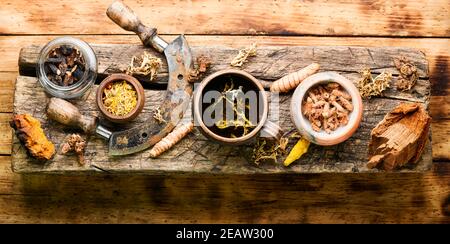 Tee und eine Reihe von Heilkräutern Stockfoto