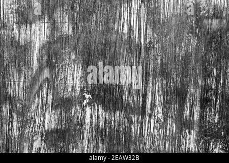 Vintage Shabby natürliche Holzoberfläche Textur - schöne abstrakte Foto Hintergrund Stockfoto