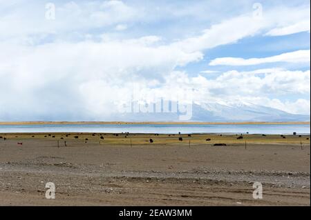 Ein See im Himalaya. Tibet, großer See im Hochland. Stockfoto