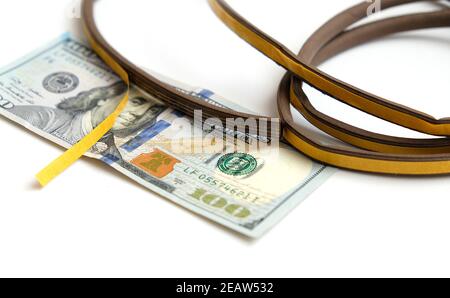 Klebedichtung für Wärmeeinsparungen und 100 US-Dollar, Nahaufnahme, Wärmeeinsparung Stockfoto