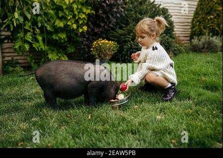 Kind füttert schwarzes Schwein im Garten, Pflege für Tiere Stockfoto