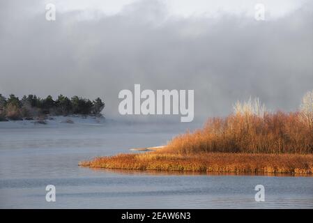 Winter frostiger Nebel auf einem ungefrorenen Fluss. Grüne Weihnachtsbäume und Gras am Ufer. Stockfoto