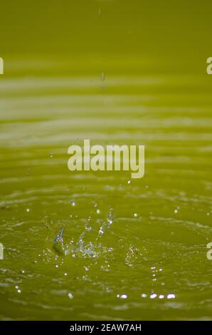 Wassertropfen, die in einem Brunnen von San Cristobal de La Laguna plätschern. Stockfoto