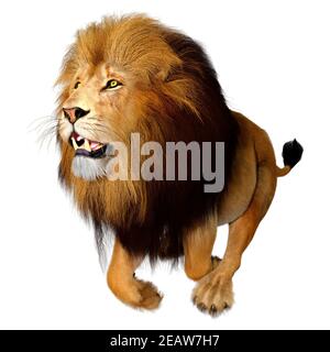 3D-Rendering Männliche Löwe auf Weiß Stockfoto