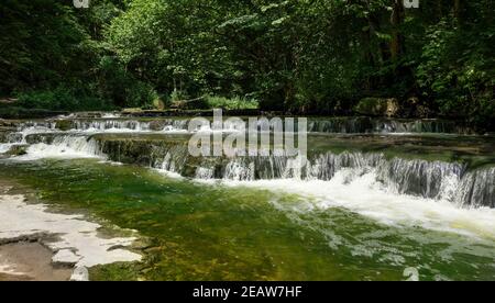 Malerischer Fluss im Wald mit mehreren Kaskaden Stockfoto