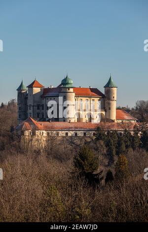 Alte mittelalterliche Burg in Nowy Wisnicz. Polen Stockfoto