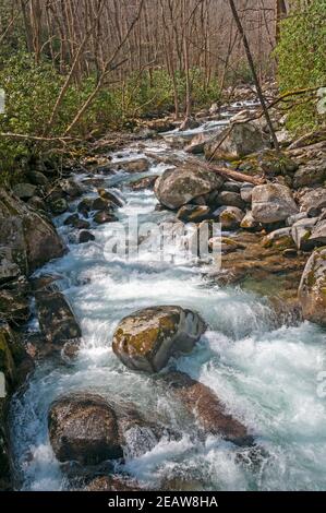 Roaring River in der Frühlingssonne Stockfoto