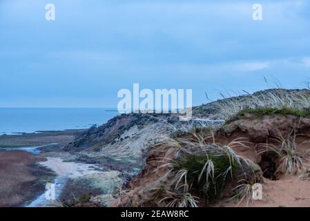 Naturschutzgebiet Morsumer Klippe Stockfoto