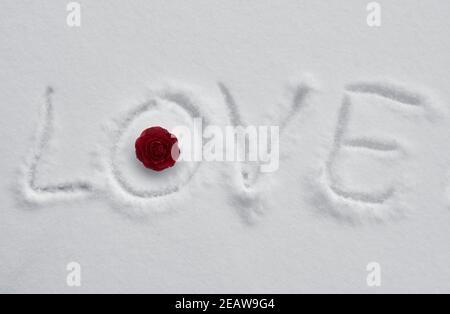 Das Wort Liebe in weißem Schnee mit einer roten Rose geschrieben, Valentinstag Hintergrund. Stockfoto