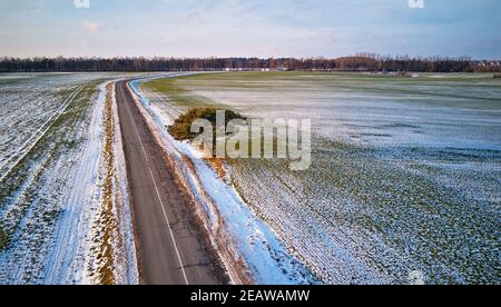 Landstraße Luftbild. Einone Kiefer in der Nähe der Auffahrt. Dezember ländliche Landschaft Stockfoto