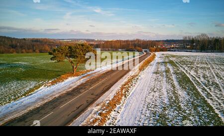 Winter landwirtschaftliches Feld unter Schnee. Landstraße Luftbild. Einone Kiefer in der Nähe der Auffahrt Stockfoto