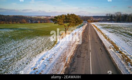 Winter landwirtschaftliches Feld unter Schnee. Landstraße Luftbild. Einone Kiefer in der Nähe der Auffahrt Stockfoto