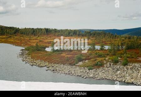 Fluss ist unter den Bergen und Wäldern des Altai. Die Natur des Altai Stockfoto