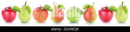 Apfelbirne Früchte Äpfel Birnen frisches Obst in einer Reihe Isoliert auf Weiß Stockfoto