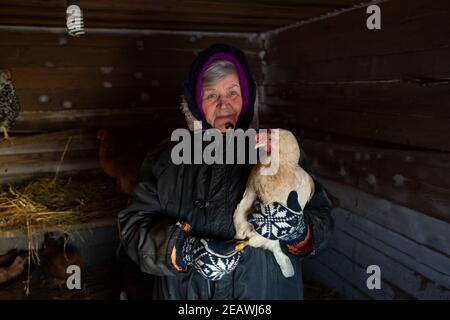 Eine ältere russische Farmerin hält ein Huhn in sich Hände Stockfoto