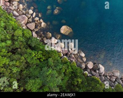 Atlantischer Regenwald neben dem Ozean, auf der Insel Ilhabela, Süd-Brasilien Stockfoto