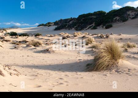 Dünen, Strand Piscinas, Provinz Medio Campidano, Arbus, Sardinien, Italien, Europa Stockfoto