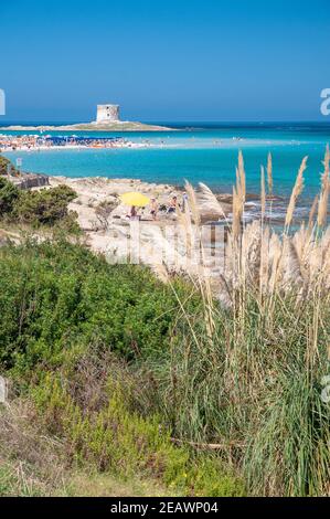 Weißer Sand und kristallklares Wasser am berühmten Strand La Pelosa, Stintino, Sardinien Stockfoto