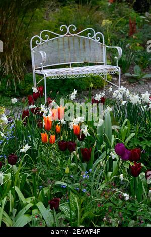 Sitz aus weißem Metall, Sitz aus weißem Metall, polares Narzissen-Eis, silbernes Narzissen-Glockenspiel, tulipa Recreado, tulipa Dauerhafte Liebe, tulipa orange Ballerina, allium, al Stockfoto
