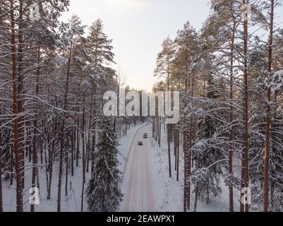 Winterwald mit frostigen Bäumen, Luftbild. Stockfoto