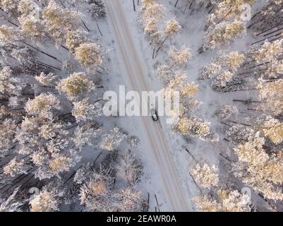 Winterwald mit frostigen Bäumen, Luftbild. Stockfoto