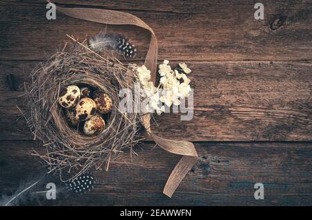 Vintage Hintergrund mit Wachteleiern auf einem Holzhintergrund. Draufsicht. Stockfoto