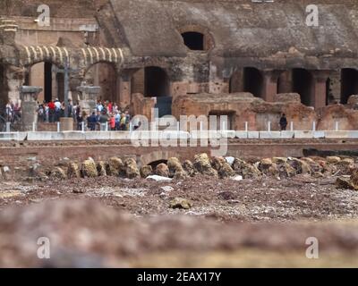 Im Inneren des berühmten Amphitheaters Kolosseum in rom Stockfoto