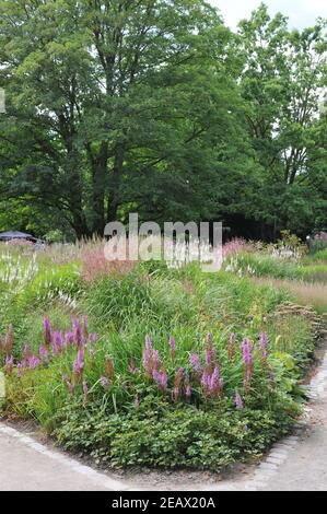 HAMM, DEUTSCHLAND - 15. AUGUST 2015: Bepflanzung im mehrjährigen Wiesenstil von Piet Oudolf im Garten Nature Designs im Maximilianpark Stockfoto